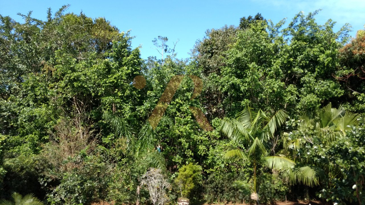 Casa — foto 28 de 53