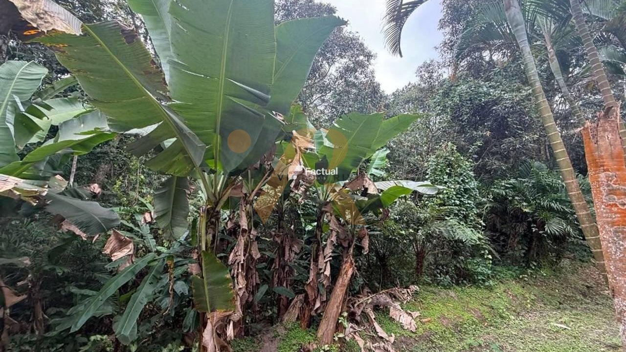 Terreno — foto 2 de 2
